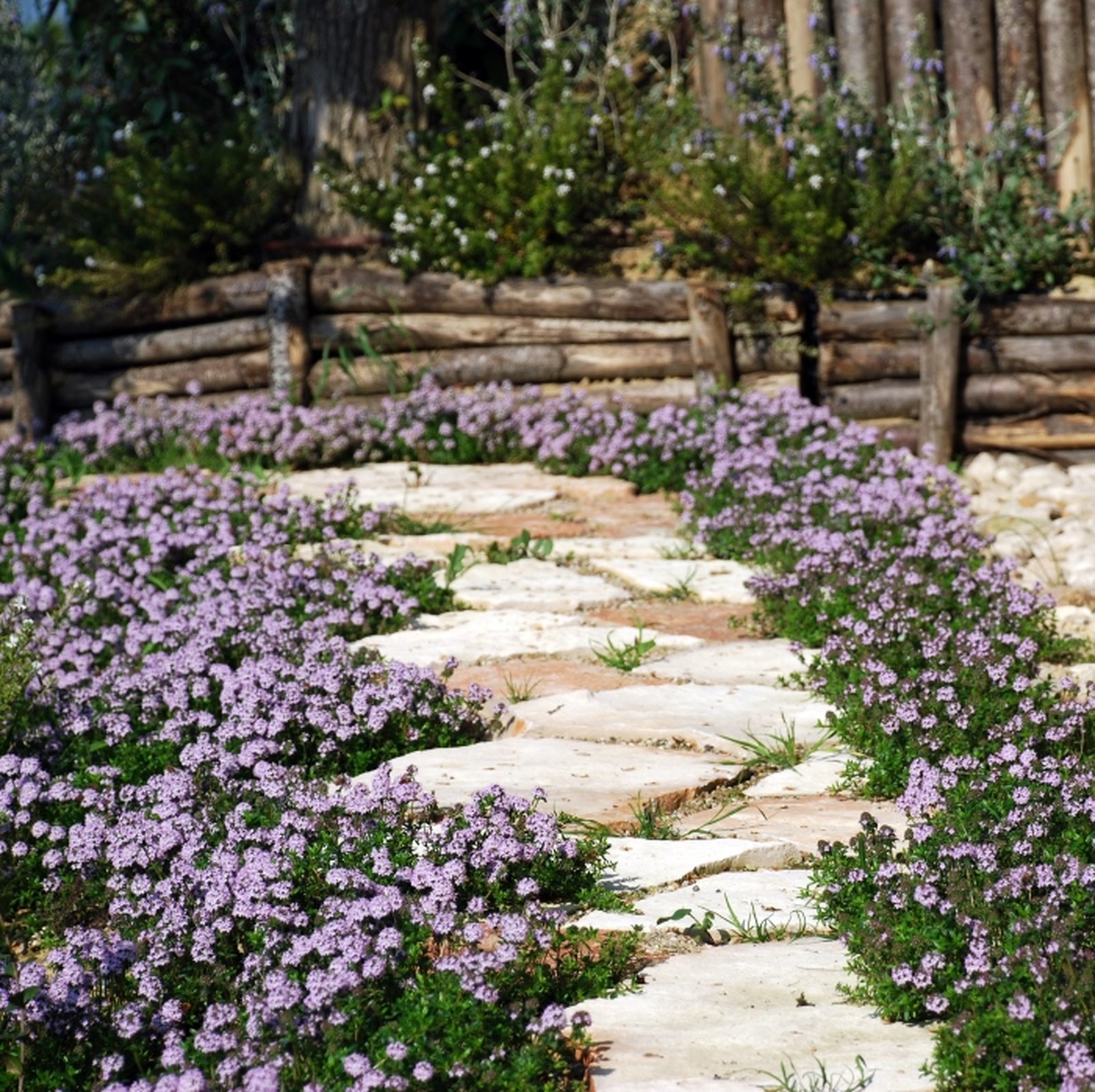 Conception de jardin