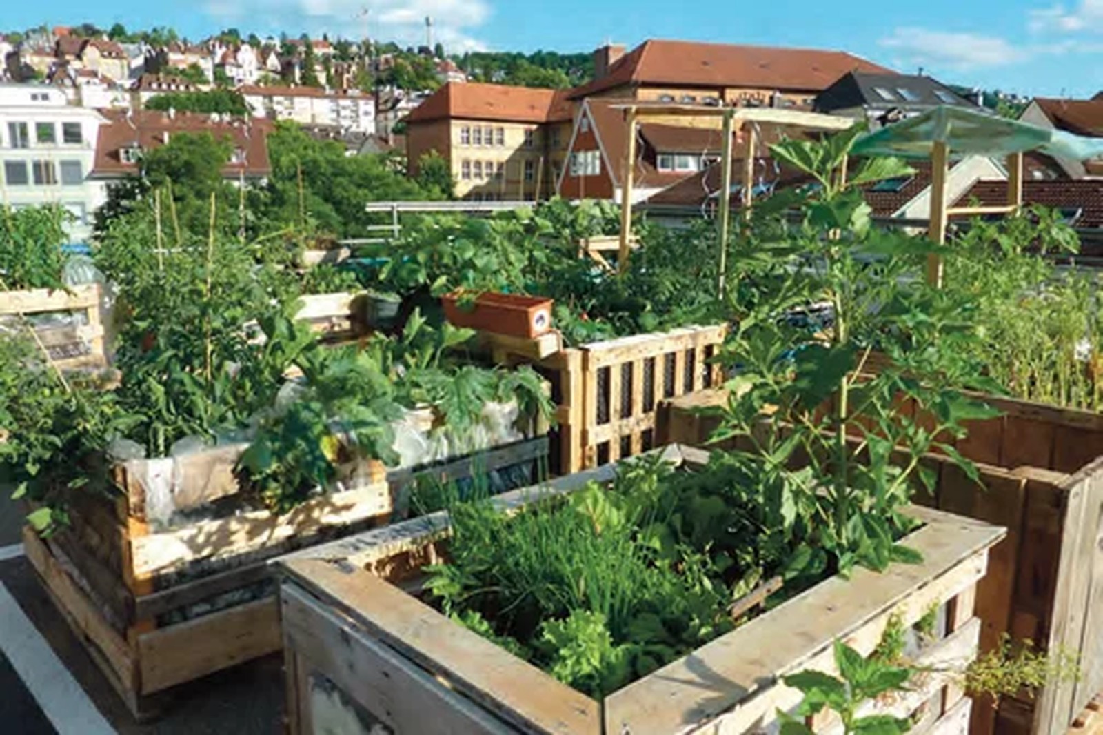 Plantations